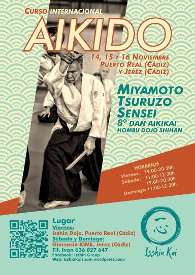 Aikido seminar poster