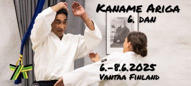 Aikido seminar poster