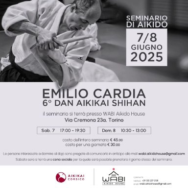 Aikido seminar poster