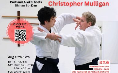 Aikido seminar poster