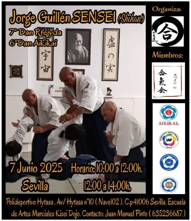 Aikido seminar poster