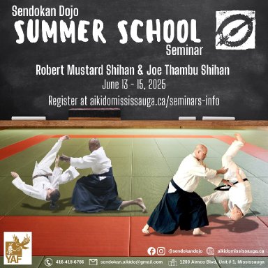 Aikido seminar poster