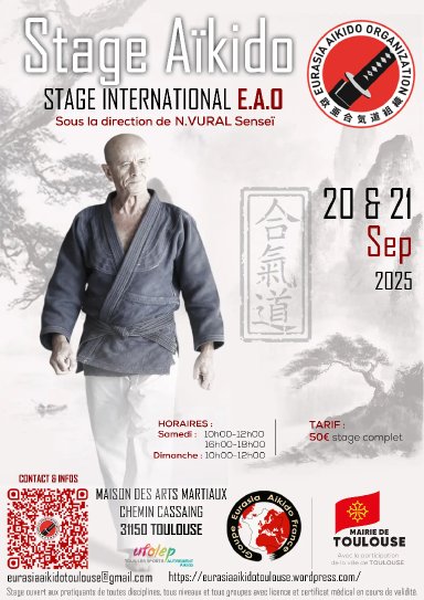 Aikido seminar poster