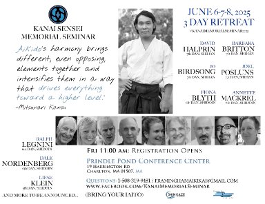 Aikido seminar poster