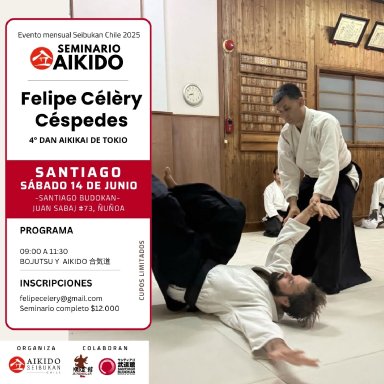 Aikido seminar poster