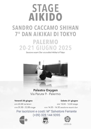 Aikido seminar poster