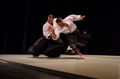Aikido seminar poster