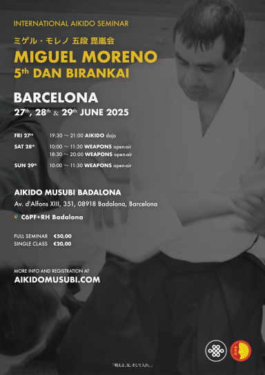 Aikido seminar poster