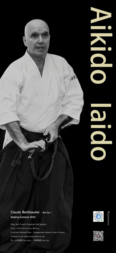 Aikido seminar poster