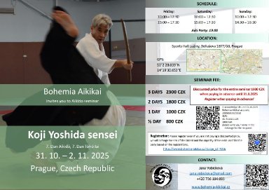 Aikido seminar poster