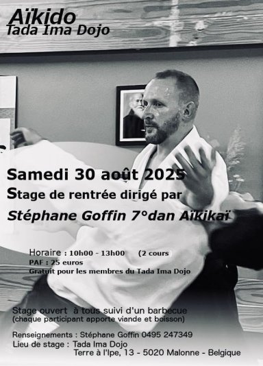 Aikido seminar poster