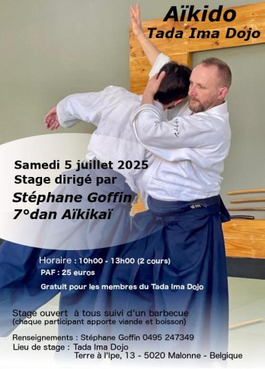 Aikido seminar poster