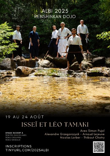 Aikido seminar poster