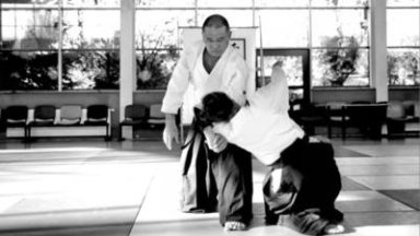 Aikido seminar poster