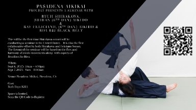 Aikido seminar poster