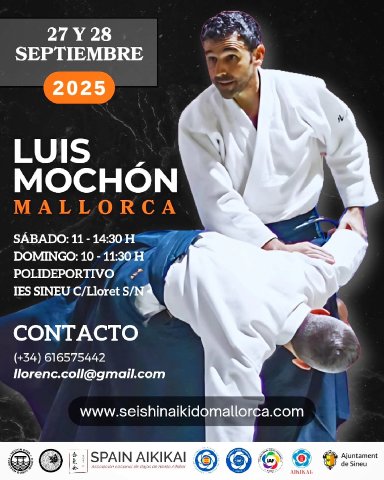 Aikido seminar poster