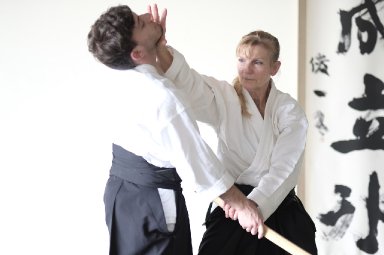Aikido seminar poster