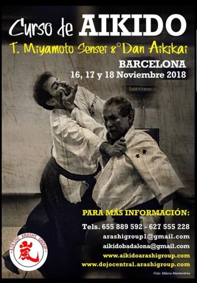 Aikido seminar poster