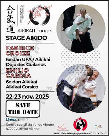 Aikido seminar poster