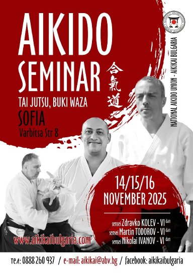 Aikido seminar poster