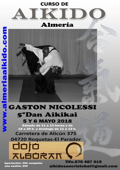 Aikido seminar poster