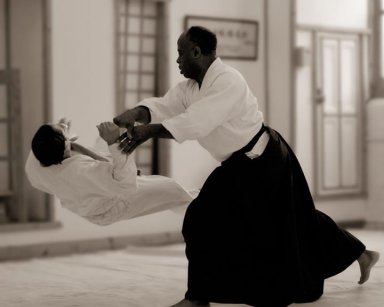 Aikido seminar poster