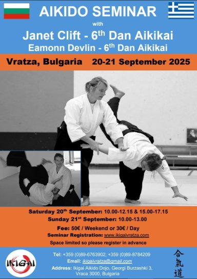 Aikido seminar poster
