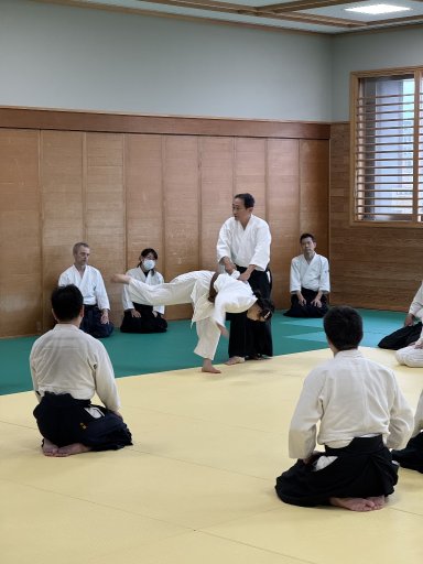 Aikido seminar poster