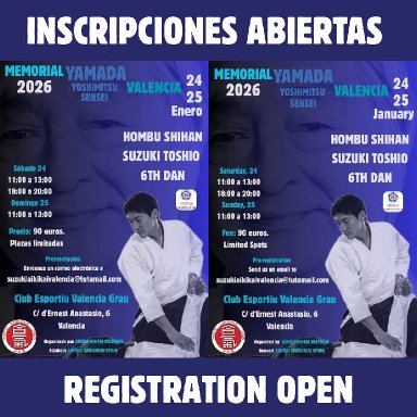 Aikido seminar poster
