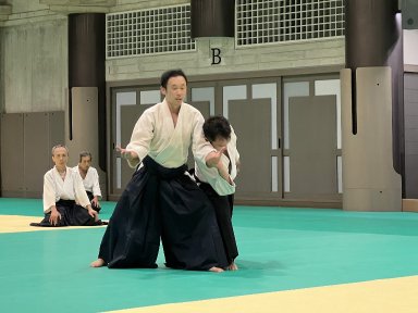 Aikido seminar poster