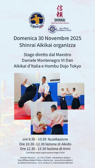 Aikido seminar poster
