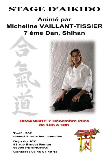 Aikido seminar poster