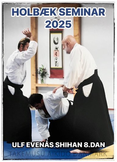 Aikido seminar poster