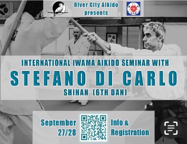Aikido seminar poster