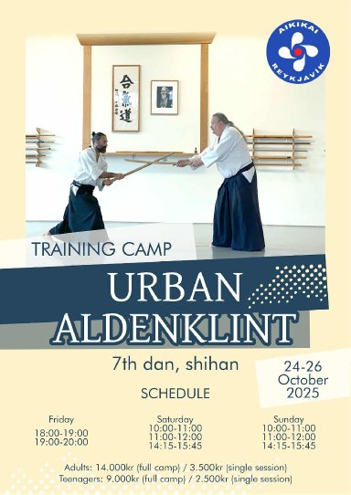 Aikido seminar poster