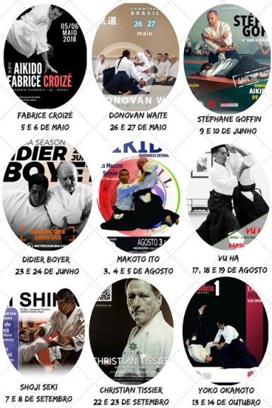 Aikido seminar poster