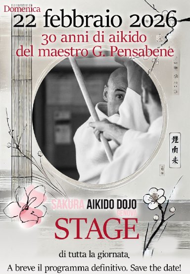 Aikido seminar poster
