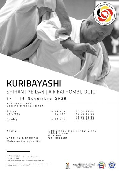 Aikido seminar poster