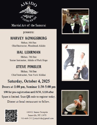Aikido seminar poster