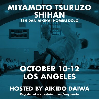 Aikido seminar poster
