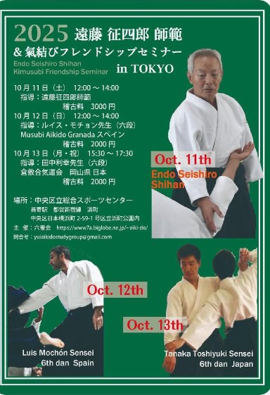Aikido seminar poster