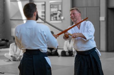 Aikido seminar poster