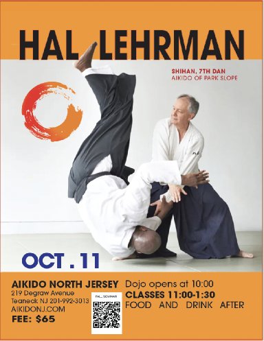 Aikido seminar poster