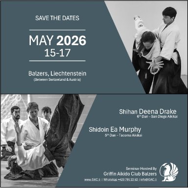 Aikido seminar poster