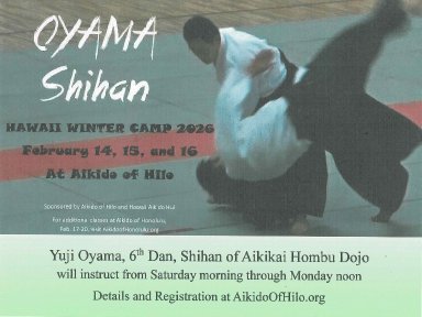 Aikido seminar poster