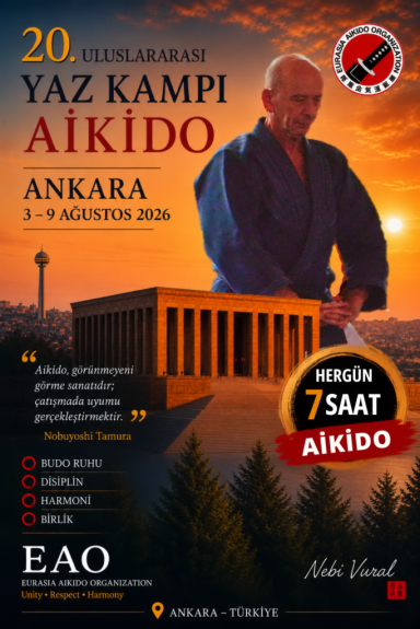 Aikido seminar poster