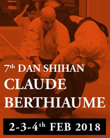 Aikido seminar poster