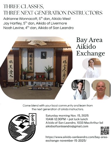 Aikido seminar poster