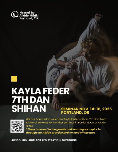 Aikido seminar poster