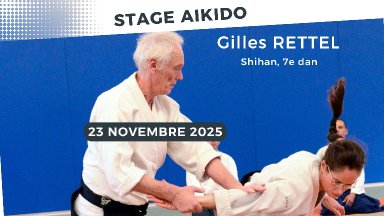 Aikido seminar poster